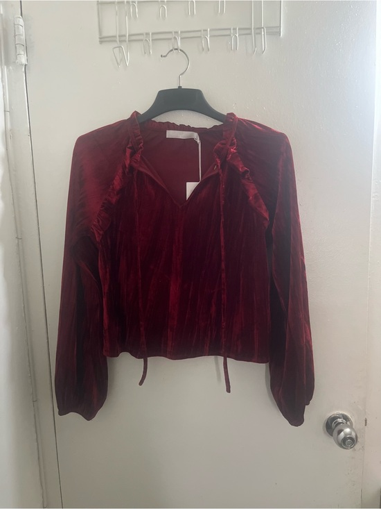 Rachel Parcell Tops - Rachel parcell Velvet Ruffle Tie-Neck Blouse - Deep Red